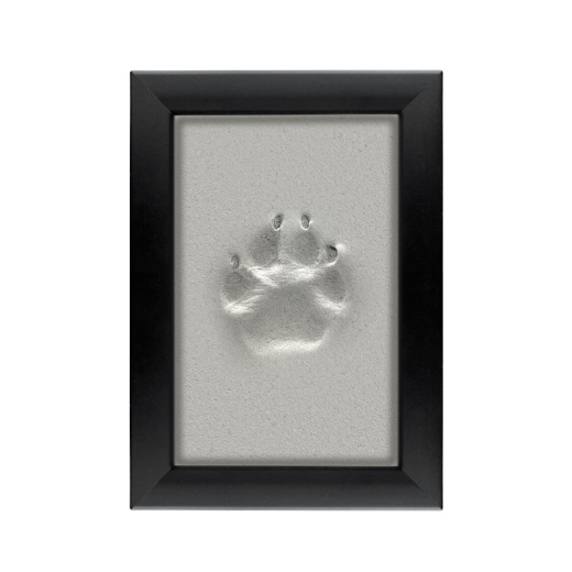 Лапка питомца в гипсовой рамке